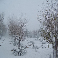 nieve 14 - 12 - 09 082